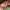 Authentic Cath Kidston Long Wallet photo 2