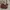 Tas Coklat shoulder bag photo 1