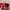 Prada Milano Red Nylon ‘Vela’ Slingbag photo 4