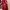 Prada Milano Red Nylon ‘Vela’ Slingbag photo 8