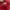 Prada Milano Red Nylon ‘Vela’ Slingbag photo 9