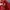 Prada Milano Red Nylon ‘Vela’ Slingbag photo 10
