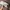 Philips Massager PPM3304 - Pijat Leher & Punggung (Nego)