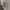 swatch automatico mckillop SAP 103 atlanta 1996 photo 3