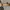 swatch automatico mckillop SAP 103 atlanta 1996 photo 4