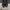 Minimalist Casual Heels Wanita black photo 3