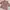 GAP Coquette Going Out Dress Wanita Pink