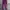 LONG PANTS I AM NOT A HUMAN BEING photo 4