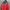 NIKE RUNNING JACKET