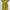 OSCAR DE LA RENTA Flower Motive Dress photo 5