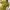 OSCAR DE LA RENTA Flower Motive Dress photo 3