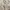 Khaki pants ABERCROMBIE and FITCH size 4 photo 3