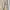 Khaki pants ABERCROMBIE and FITCH size 4 photo 1