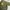 Vintage Stussy Olive Green Hoodie Made photo 2