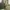 Vintage Stussy Olive Green Hoodie Made photo 4