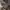 AVIREX Type B-3 flight jacket Brown photo 4