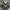 bohemian outer motif bunga photo 1