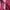 Korean Blink Knit Top in Maroon photo 5
