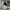 Black Washing Heavy Weight Boxy Hoodie 00s photo 4