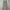 SYMBIOSE Utility Loose Fit Fatigue Cargo Pants photo 2