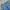 Dickies Genuine Light Blue Carpenter Jorts  photo 6