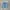 Dickies Genuine Light Blue Carpenter Jorts  photo 3