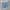 Dickies Genuine Light Blue Carpenter Jorts  photo 1