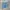 Dickies Genuine Light Blue Carpenter Jorts 