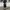 Dickies Genuine Black Carpenter Jorts photo 3