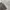 ANOUTFIT Brown Cargo Carpenter Jorts photo 5