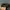 Topi Five night at freddy’s cap original photo 3