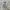 BUCKAROO Gray Washed Baggy Jeans photo 1