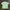 Streetwear T-shirt Pria multicolor photo 4