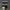 Converse Star Player 76 Ox Black White  photo 7