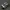 Converse Star Player 76 Ox Black White  photo 2