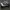 Converse Star Player 76 Ox Black White  photo 1