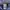 Russell Athletic Vintage Y2K Hoody Pria navy photo 3