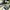 Converse All Star Chuck Taylor Unisex photo 2