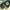 Converse All Star Chuck Taylor Unisex photo 4