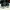 Converse All Star Chuck Taylor Unisex photo 5