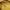 Levis silvertab spell out t-shirt pria yellow photo 4