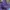 Crisby Shoulder Bag Purple photo 6