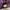 Crisby Shoulder Bag Purple photo 3