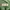 Rugged House Chino Size 33 photo 7