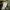Rugged House Chino Size 33 photo 8