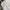 Tracktop Adidas Climalite White-Gray-Citrus photo 5