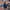 Nike tech rare item blue navy photo 1