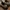 New Balance 8040 — Sandstone photo 5