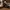 New Balance 8040 — Sandstone