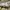 Legendary Gold Khakis Chino Size 39 photo 7